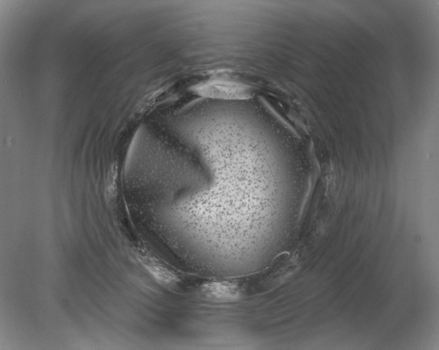 X0000079330660200612011909