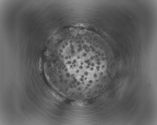X0000079330661200612011909