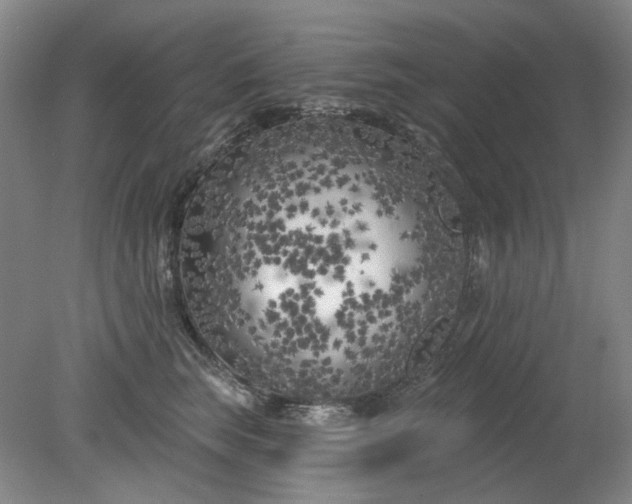 X0000079330663200612011909