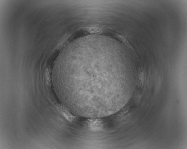 X0000079330667200612011909