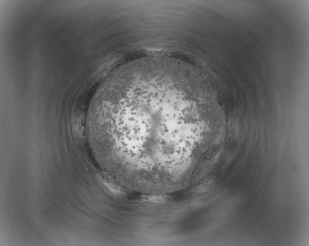 X0000079330671200612011909