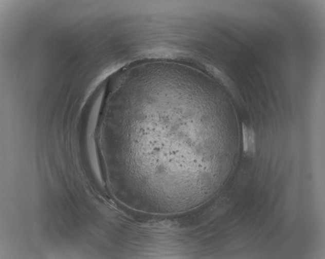 X0000079330675200612011908