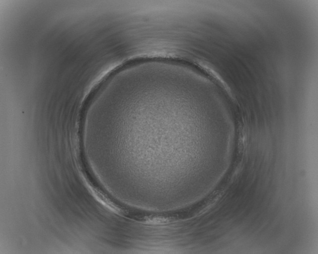 X0000079330677200612011908