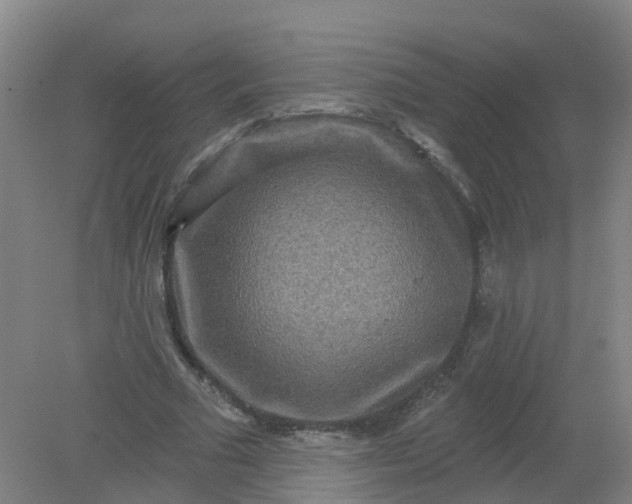 X0000079330681200612011908