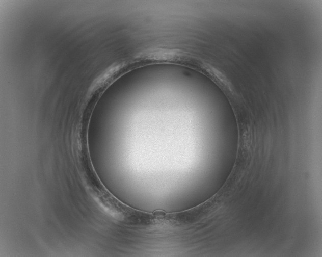 X0000079330682200612011908