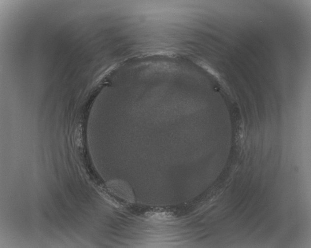 X0000079330689200612011908