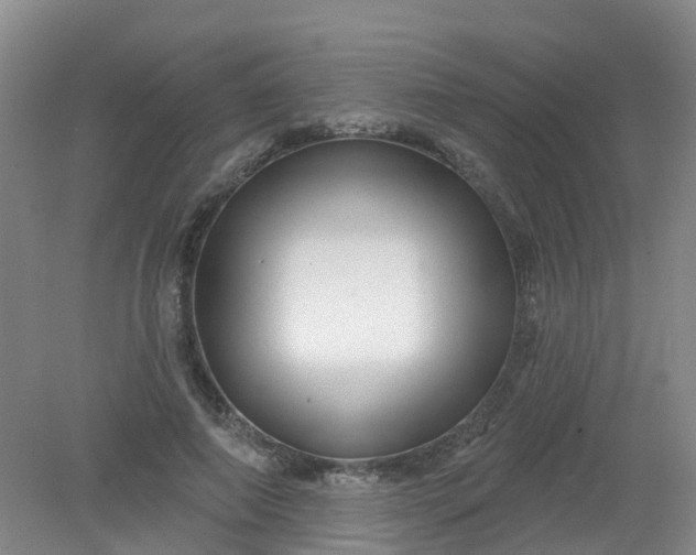 X0000079330690200612011908