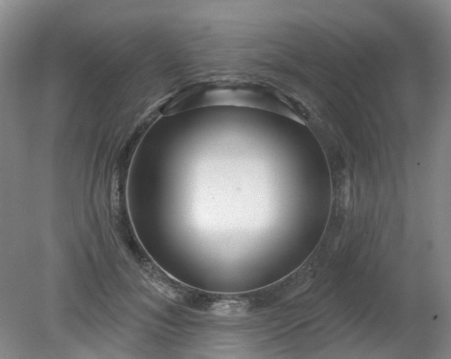 X0000079330700200612011908