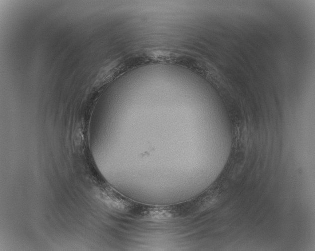 X0000079330702200612011908