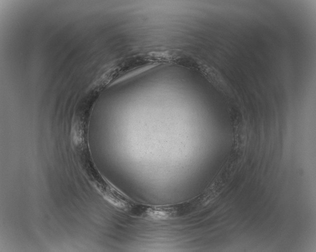 X0000079330706200612011908