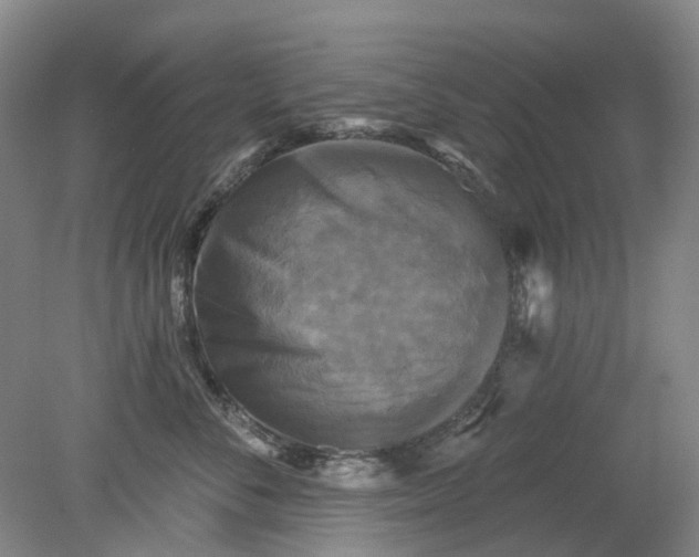 X0000079330716200612011908