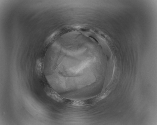 X0000079330720200612011908