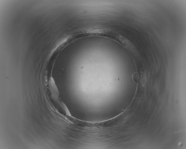 X0000079330731200612011907