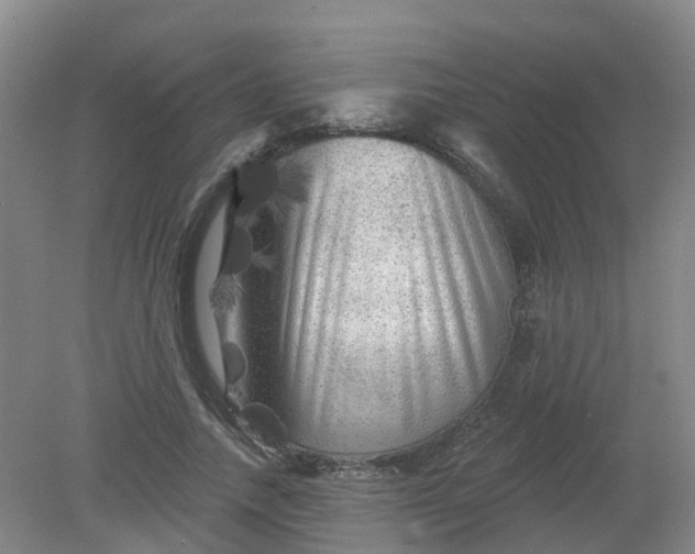 X0000079330738200612011907