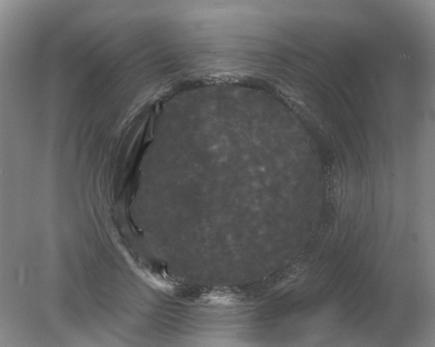 X0000079330742200612011907