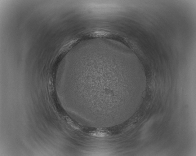 X0000079330743200612011907