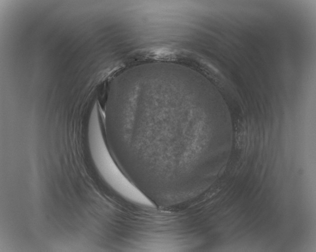 X0000079330748200612011907