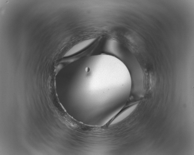 X0000079330750200612011907