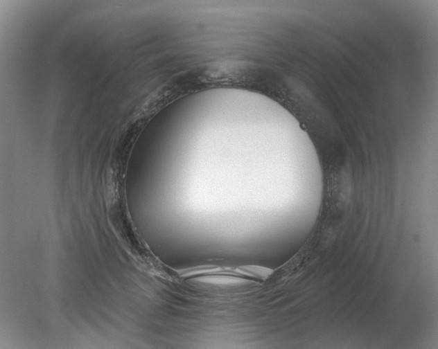 X0000079330751200612011907