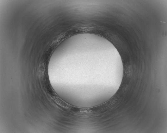 X0000079330752200612011907