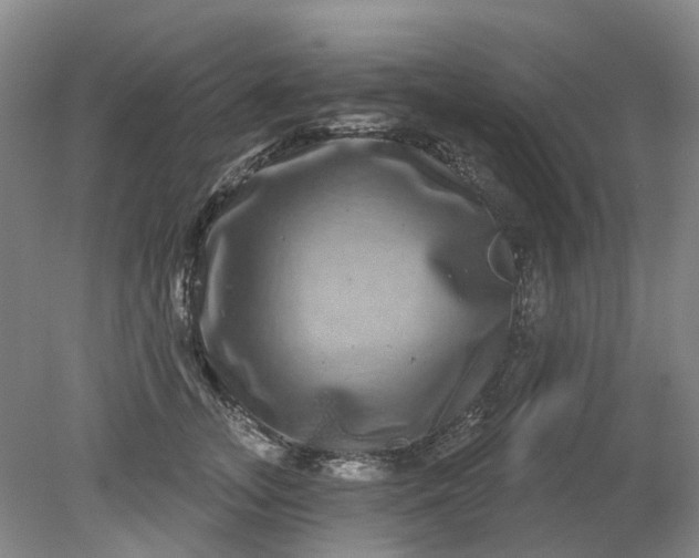 X0000079330755200612011907