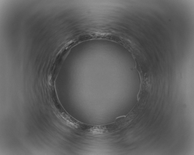 X0000079330756200612011907