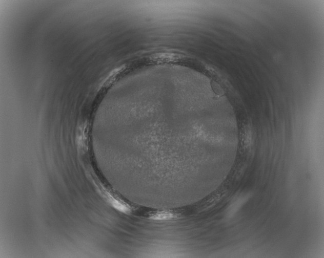 X0000079330759200612011908