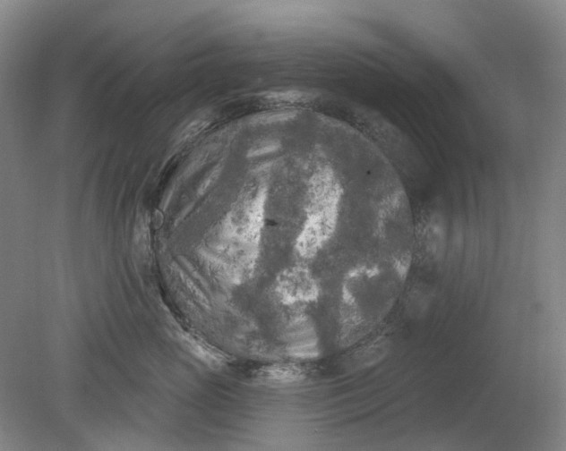 X0000079330765200612011908