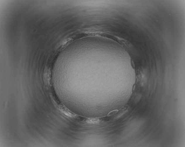 X0000079330767200612011908