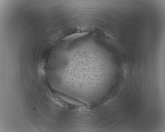 X0000079330770200612011907