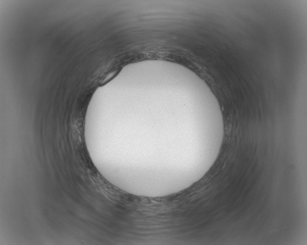 X0000079330772200612011907