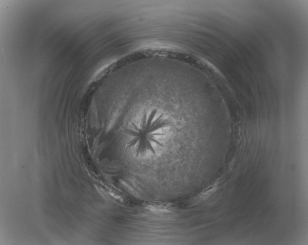 X0000079330775200612011907