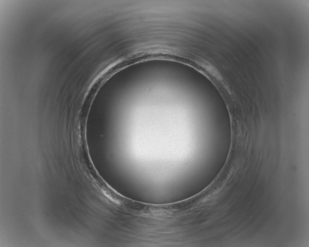X0000079330782200612011907