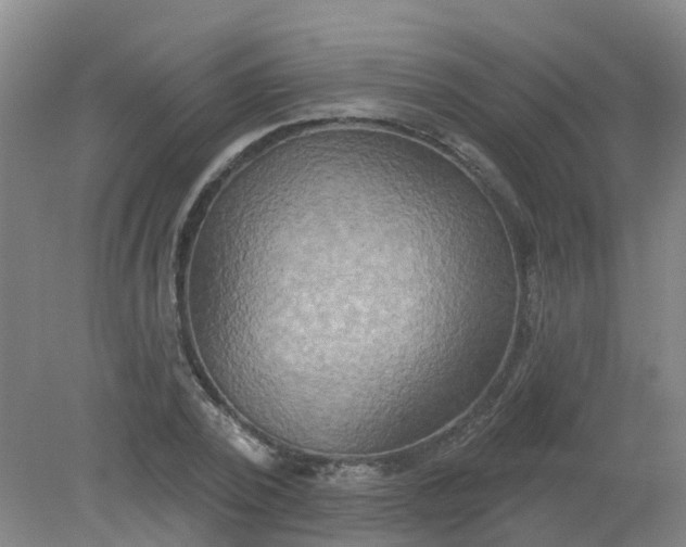 X0000079330784200612011907