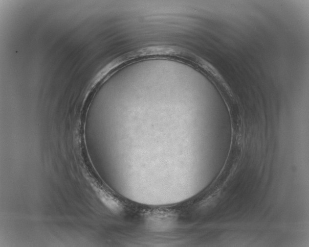 X0000079330786200612011907