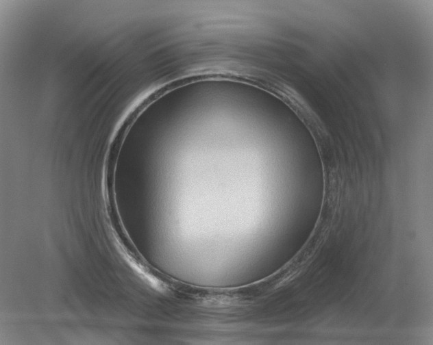 X0000079330788200612011907