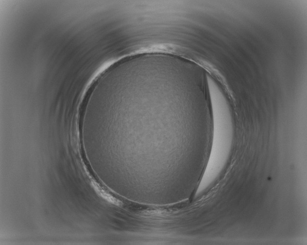X0000079330792200612011906