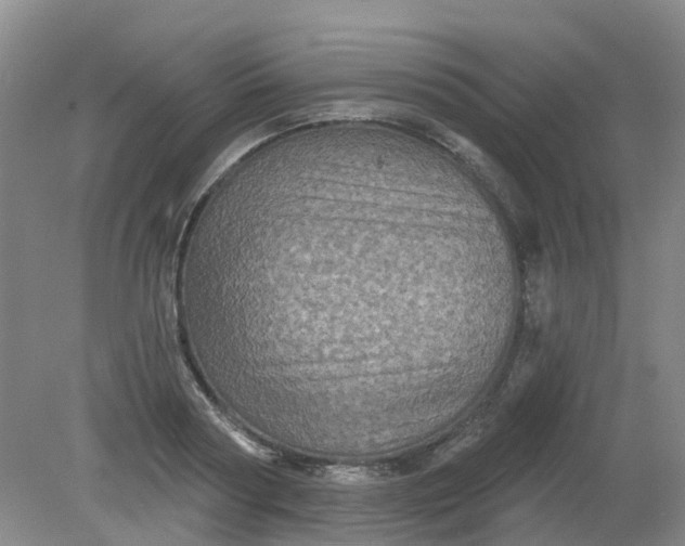 X0000079330794200612011906