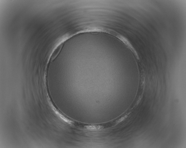 X0000079330805200612011906