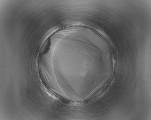 X0000079330806200612011906