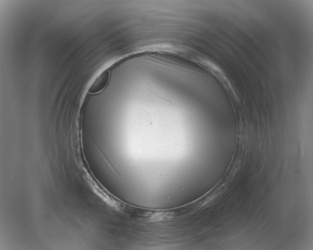 X0000079330808200612011906