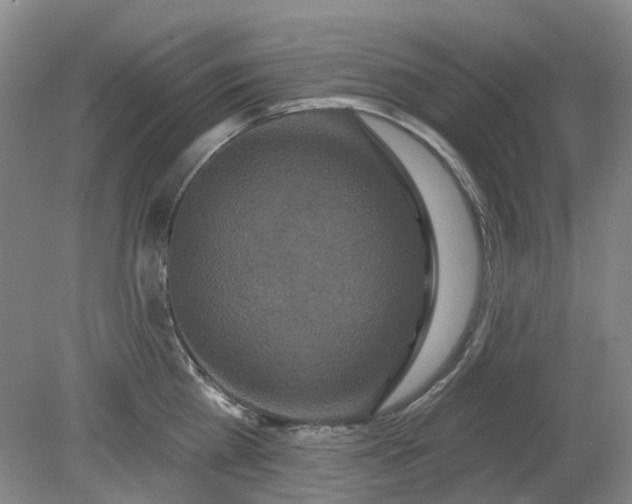 X0000079330809200612011906