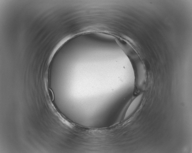 X0000079330812200612011906