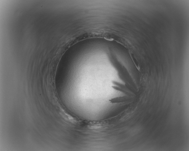 X0000079330817200612011905