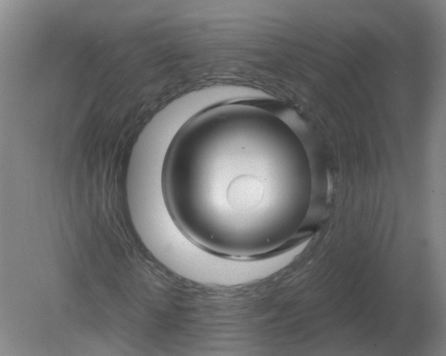 X0000079330818200612011905