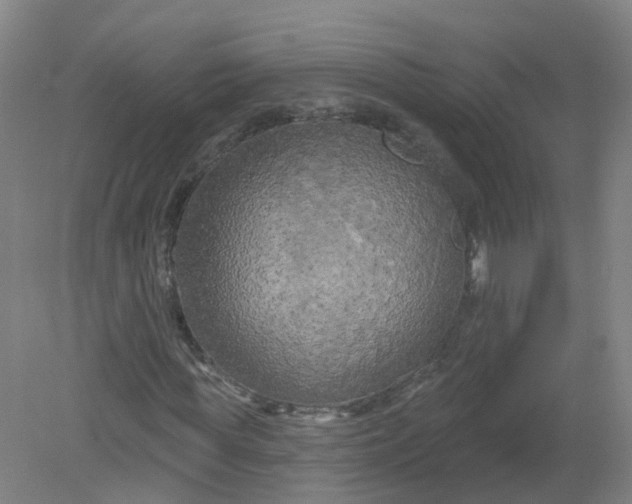 X0000079330819200612011905