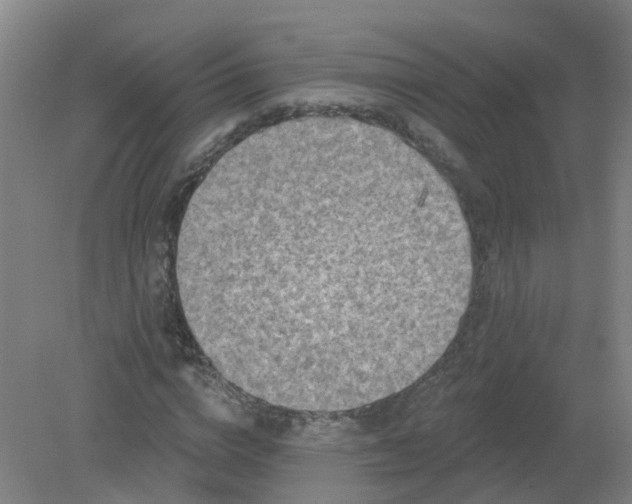 X0000079330824200612011905