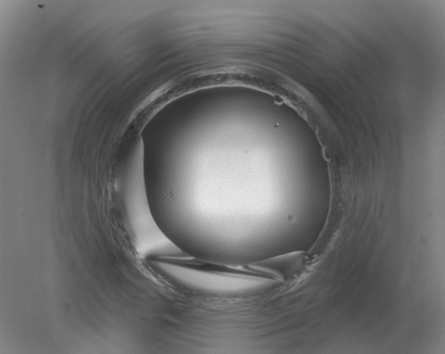 X0000079330826200612011905