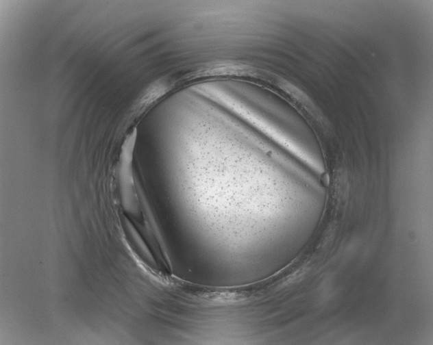 X0000079330841200612011906