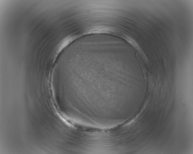 X0000079330842200612011906